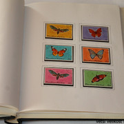 IMG-3952