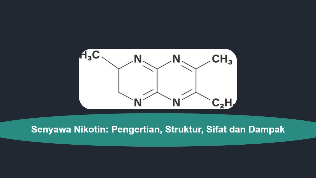 Senyawa Nikotin: Pengertian, Struktur, Sifat dan Dampak