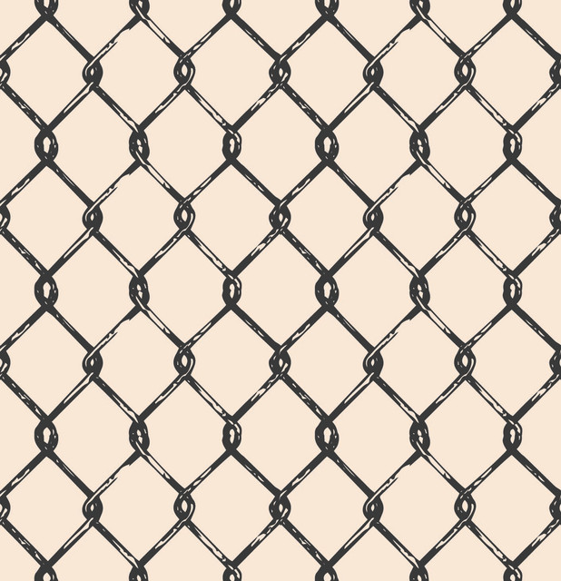 366.jpg