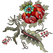 2a2136a04f21c8712678757186cdafc5.png