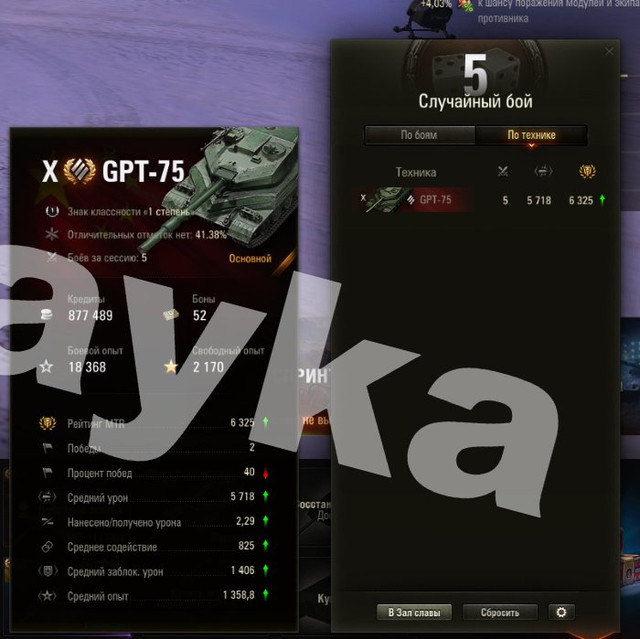 2446.jpg