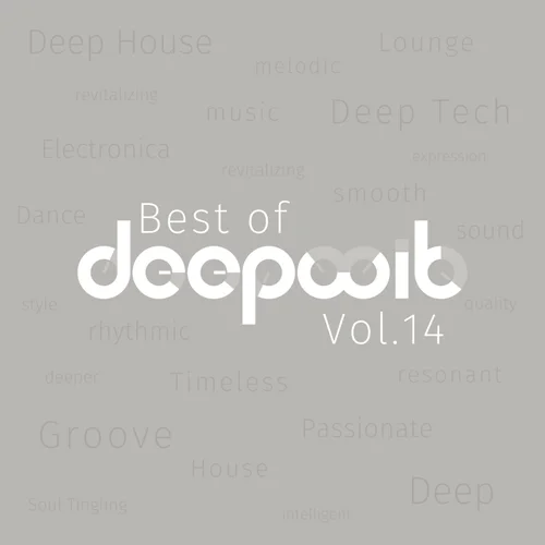 VA – Best of DeepWit, Vol. 14 [DWRR066]