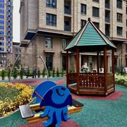 IMG 0639