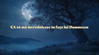 Am fost musulman când am murit. Creștinismul m-a salvat
