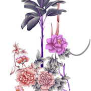 shutterstock 1987617329