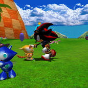Pet