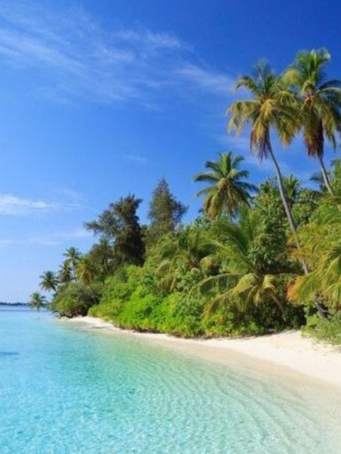 Screenshot-20240822-141321