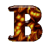 B1