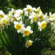 DSC00286