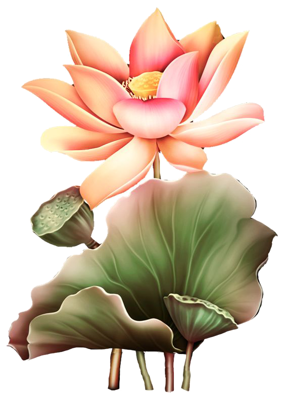 b5ca73005eb3d0faf1e1bb574878c43e.png