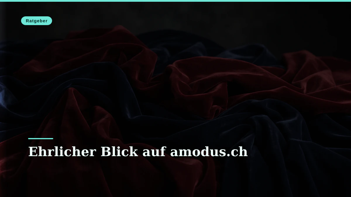 Ehrlicher Blick auf amodus.ch