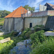 IMG-1428