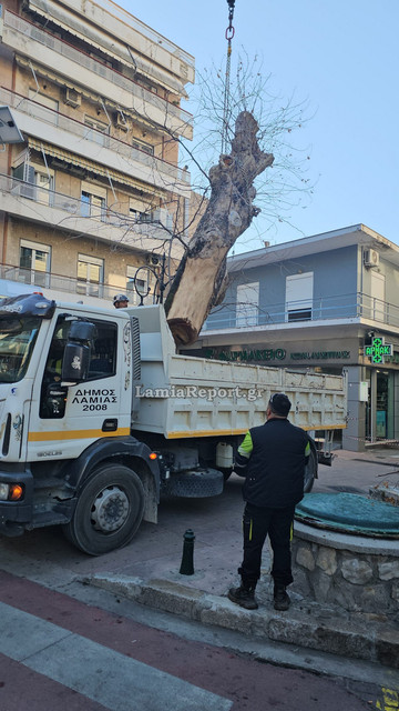 Δεντρο πλατεια Λαου013.jpg