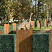 IMG-0764