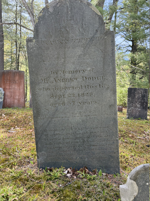IMG 0246.jpg