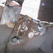 IMG-7562