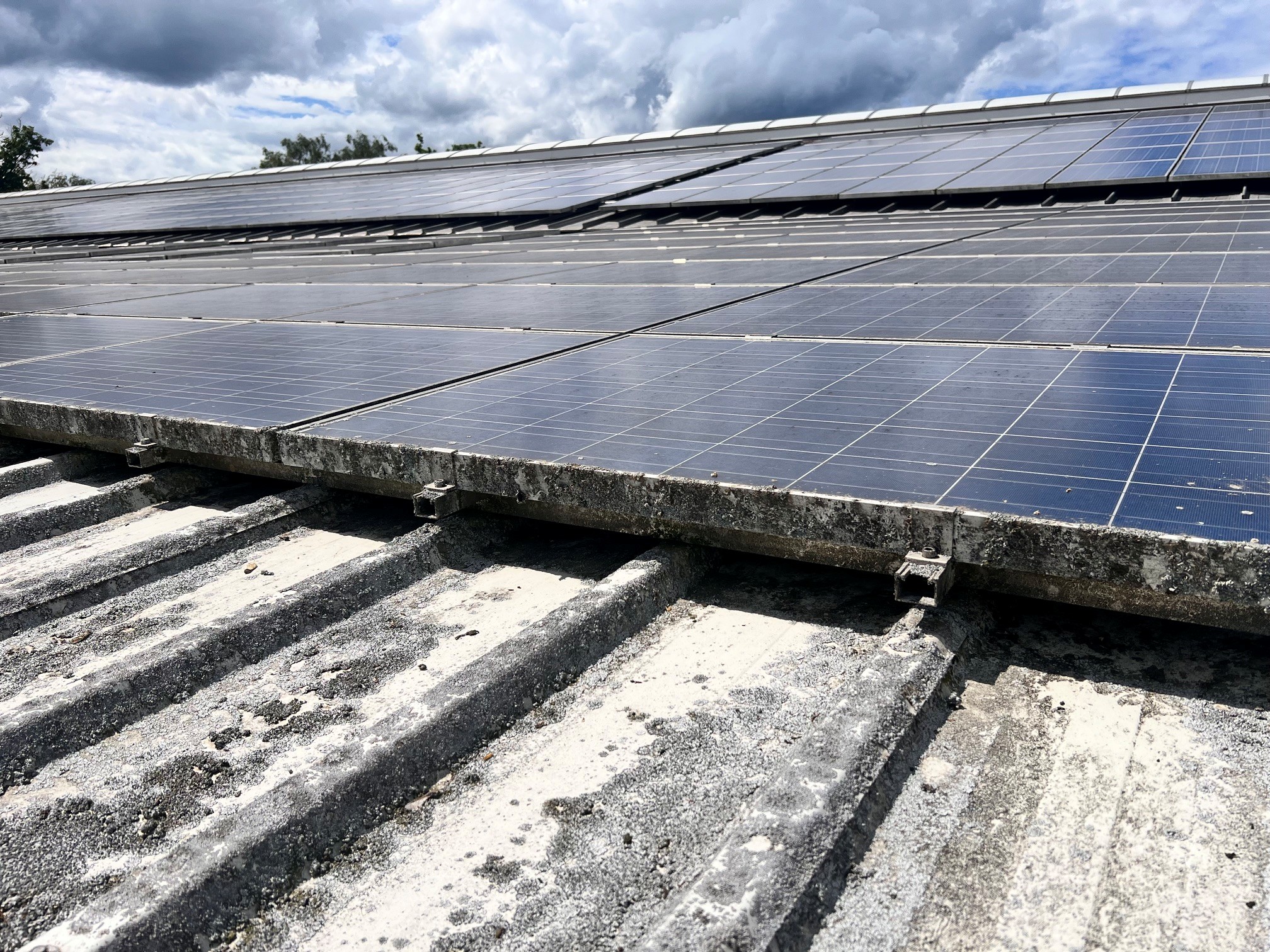 Nahaufnahme verschmutzter Solarmodule mit Ablagerungen und beginnendem Bewuchs vor der professionellen Reinigung im Oberbergischen Kreis