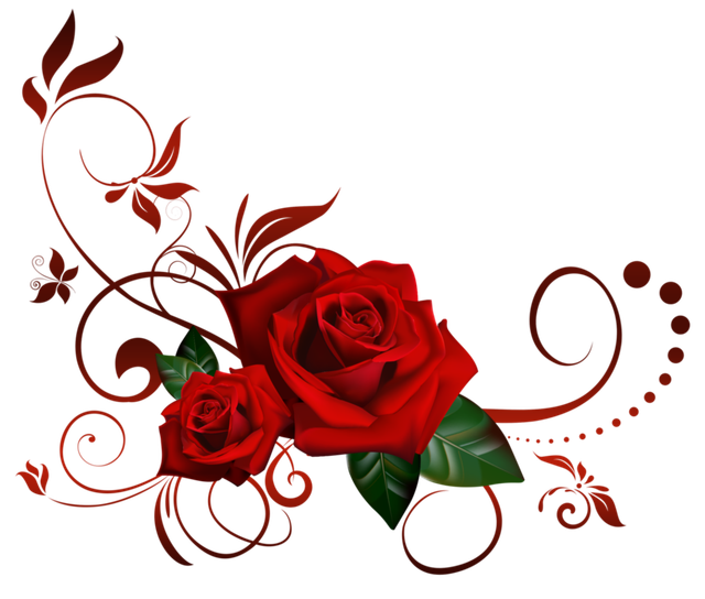 pngwing com (27).png