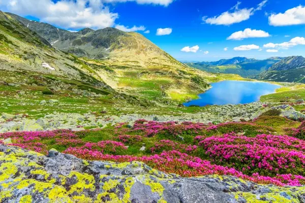 Finding Your Ideal Romania Tour