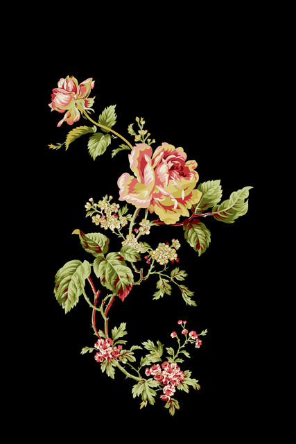 shutterstock 1606429090.jpg