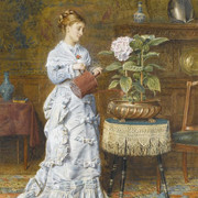 A TENDER PLANT
