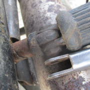 IMG-8781