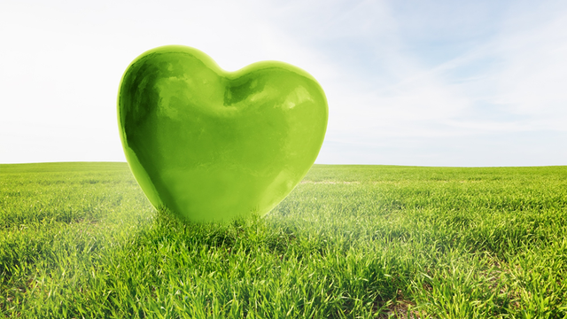 Canon TC-21 Green at heart