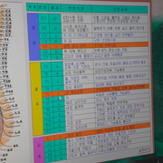 Organ Health Data 07