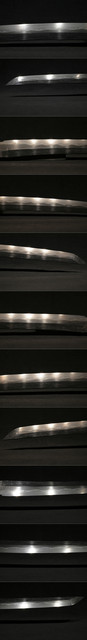 DSC6653.jpg