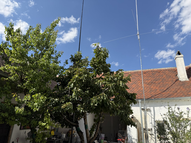 IMG 7490.jpg