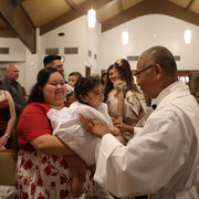 IMG 6950