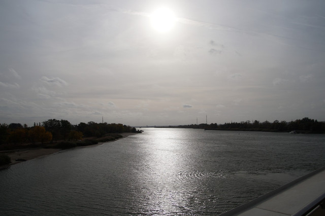 DSC08173.jpg