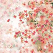 shutterstock 1961932264