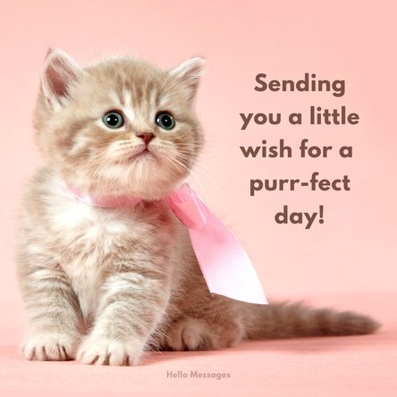 Good-day-001.jpg
