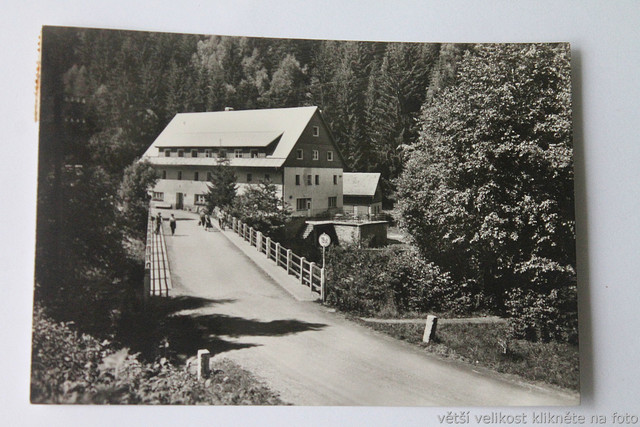 IMG-6437