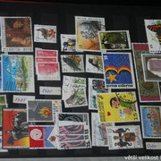 IMG-3449