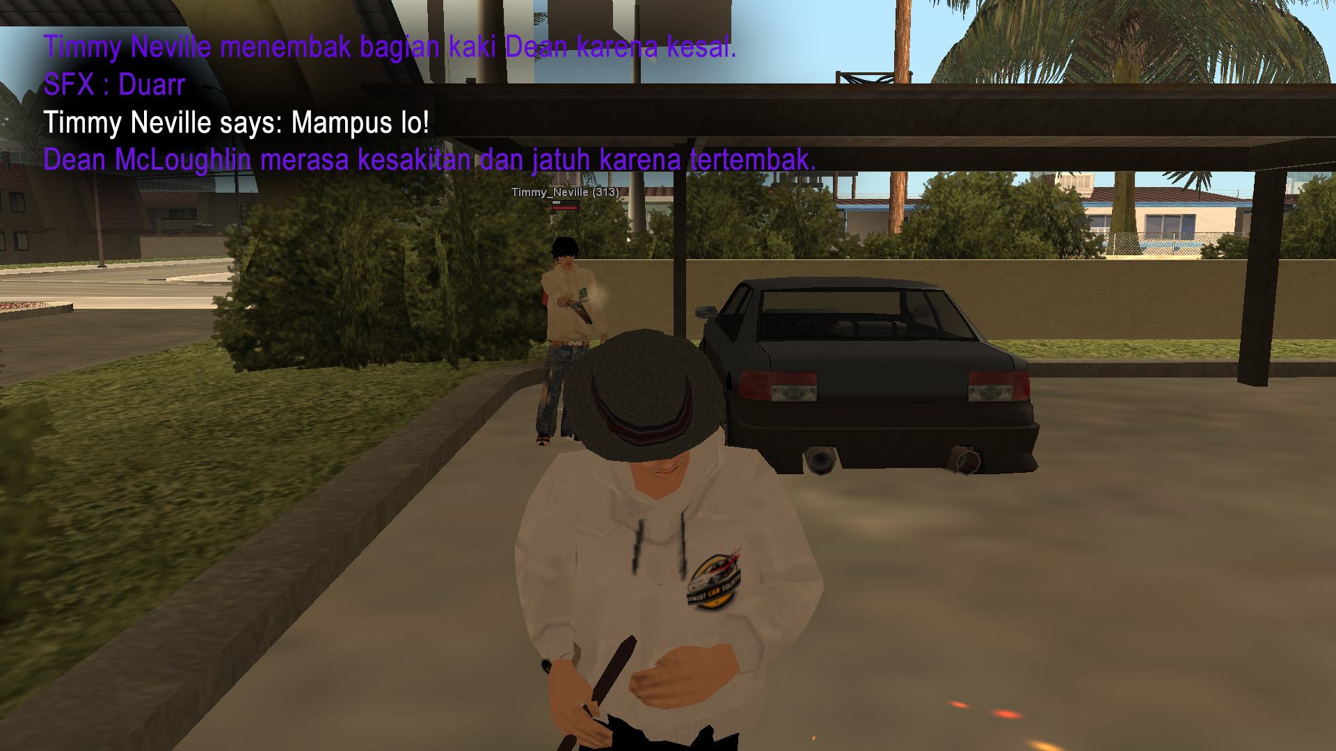 17.jpg