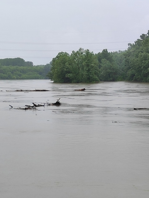 Drava