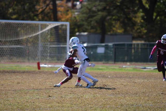 IMG-8276.jpg