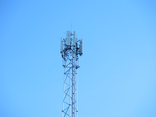 IMG-4245