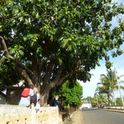P1080859