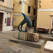 IMG-9833