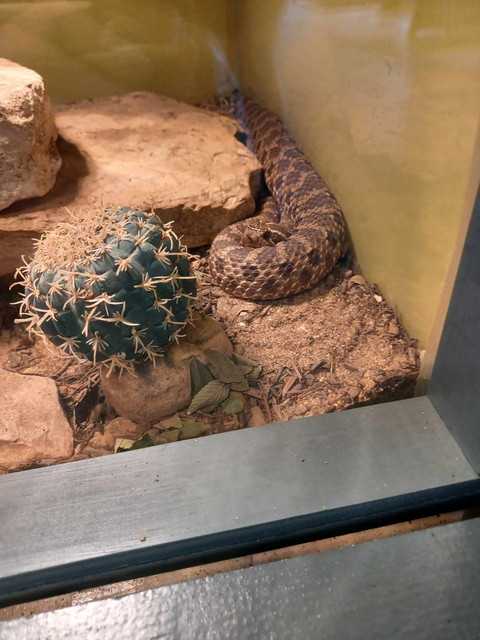 zoo3