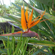 P1070396