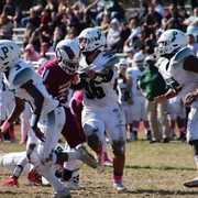 IMG-3336