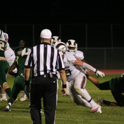 IMG-6533