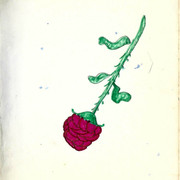 Scan76a