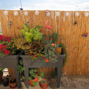 IMG-7822