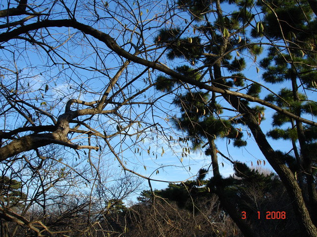 2008-01-03-064