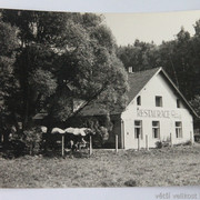 IMG-6313